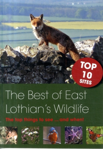 The Best of East Lothian's Wildlife