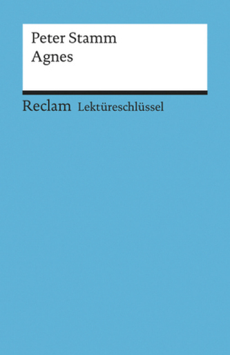 Lektüreschlüssel zu Peter Stamm 'Agnes'