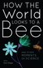 How the World Looks to a Bee