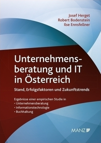 Unternehmensberatung und IT in Österreich