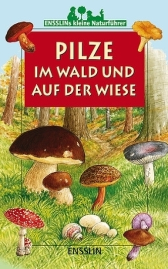 Pilze im Wald und auf der Wiese