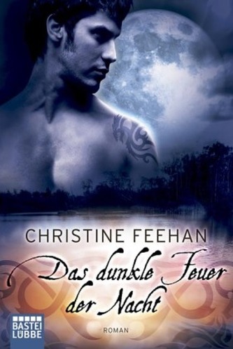 Das dunkle Feuer der Nacht