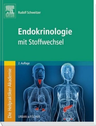 Endokrinologie mit Stoffwechsel