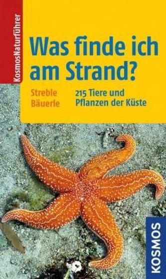 Was finde ich am Strand?