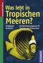 Was lebt in Tropischen Meeren?