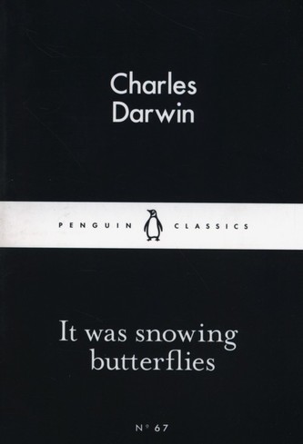 It was snowing butterflies