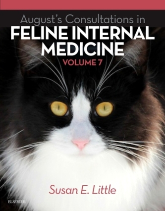 August's Consultations in Feline Internal Medicine. Vol.7
