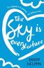 The Sky is Everywhere. Über mir der Himmel, englische Ausgabe