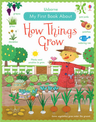 Usborne My First Book About How Things Grow