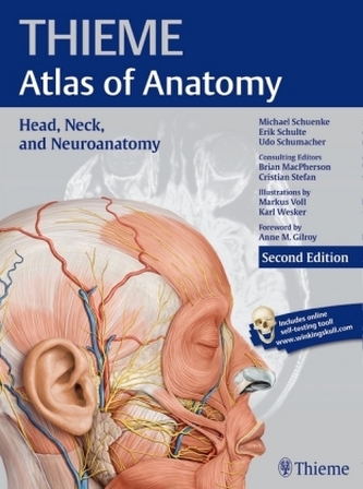 Head, Neck, and Neuroanatomy