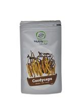 Cordyceps Powder BIO 125g -