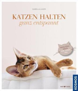 Katzen halten ganz entspannt