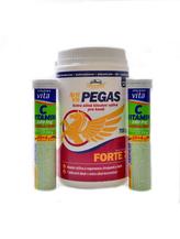 Artivit Pegas Forte 7 700g + 2x šumivý vit. C