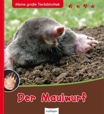 Der Maulwurf