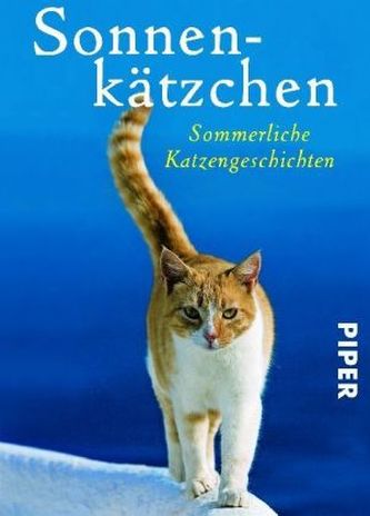 Sonnenkätzchen