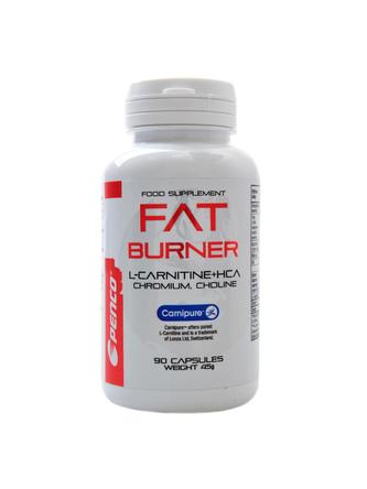 Fat Burner 90 kapslí