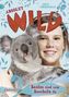 Absolut WILD - Koalas sind zum Kuscheln da