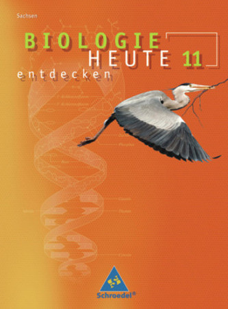 11. Schuljahr, Schülerband