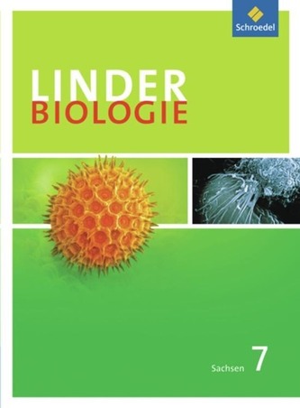 7. Schuljahr, Schülerband