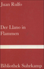 Der Llano in Flammen