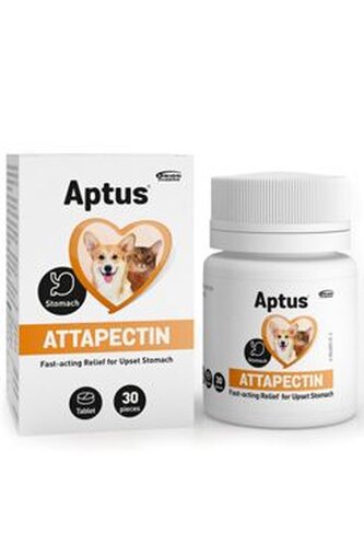 Attapectin 30 tabliet