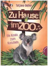 Zu Hause im Zoo - Koala zum Kuscheln