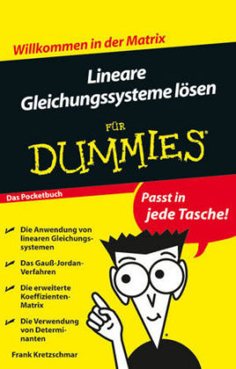 Lineare Gleichungssysteme lösen für Dummies