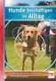 Hunde beschäftigen im Alltag, 1 DVD