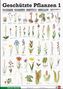 Geschützte Pflanzen. Tl.1