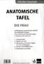 Anatomische Tafel, Die Frau
