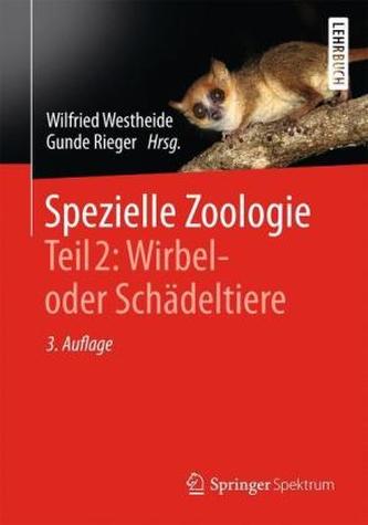 Wirbeltiere- oder Schädeltiere