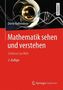 Mathematik sehen und verstehen