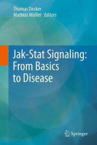 Jak-Stat Signaling: From Basics to Disease