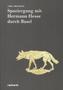 Spaziergang mit Hermann Hesse durch Basel