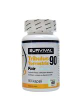 Tribulus terrestris 90% fair power 90 kapsúl