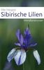 Sibirische Lilien