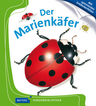 Der Marienkäfer