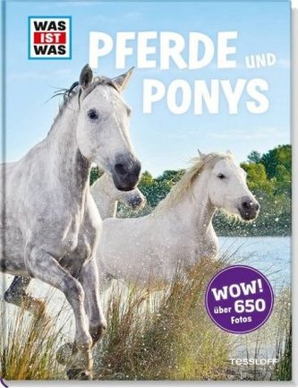 Pferde und Ponys