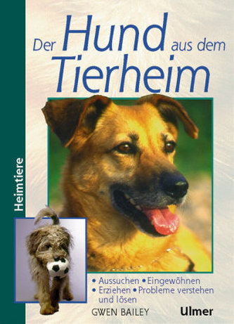 Der Hund aus dem Tierheim