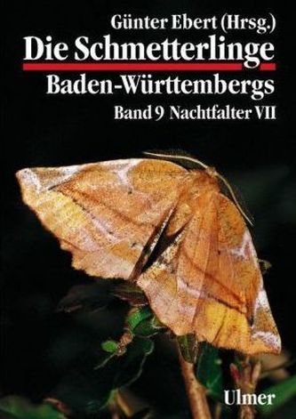 Nachtfalter. Tl.7