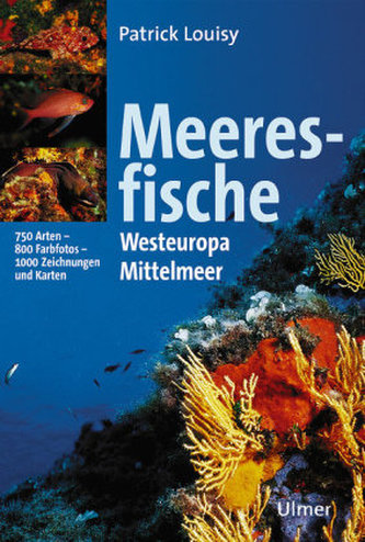 Meeresfische