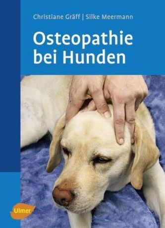 Osteopathie bei Hunden