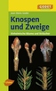 Knospen und Zweige