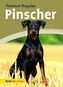 Pinscher