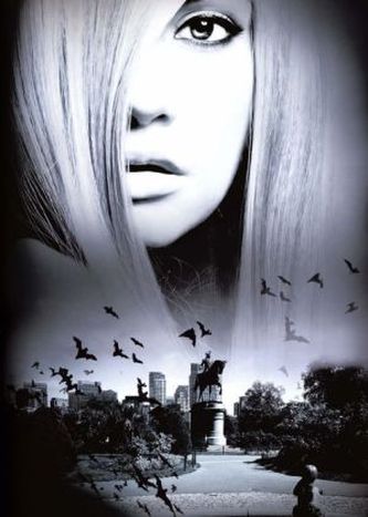 Notizbuch - Blankbook