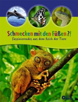 Schmecken mit den Füßen?!