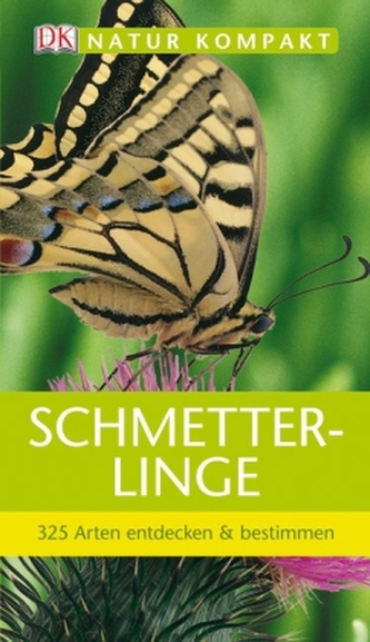 Schmetterlinge