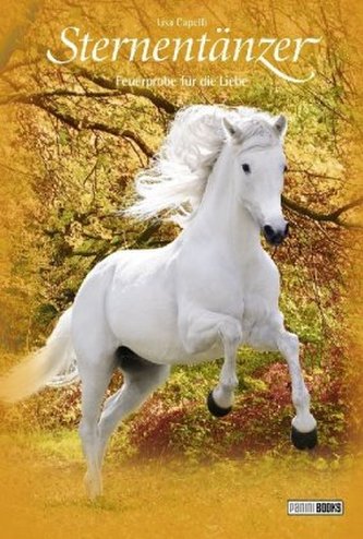 Sternentänzer - Feuerprobe für die Liebe