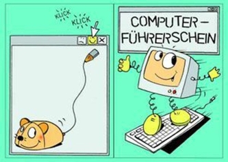Der Computer-Führerschein, Klassensatz Führerscheine