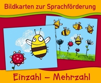 Einzahl - Mehrzahl (Bildkarten)